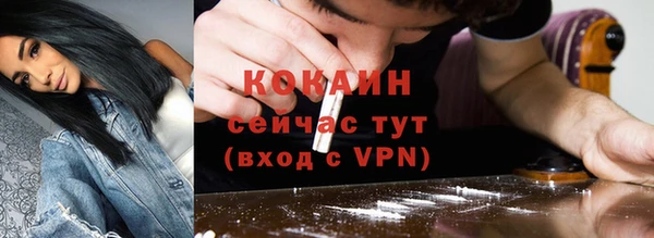 спиды Бородино
