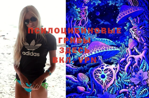 спиды Бородино