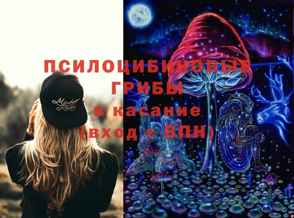спиды Бородино